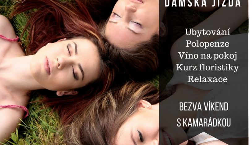 Penzion Eliška Horní Planá